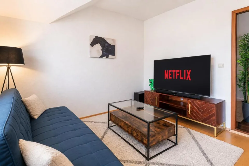 ideal für Familien und Monteure, Zentral, gemütlich, mit Fernseher